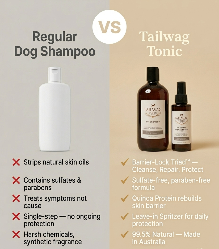 The Complete Skin System Your Dog Actually Needs