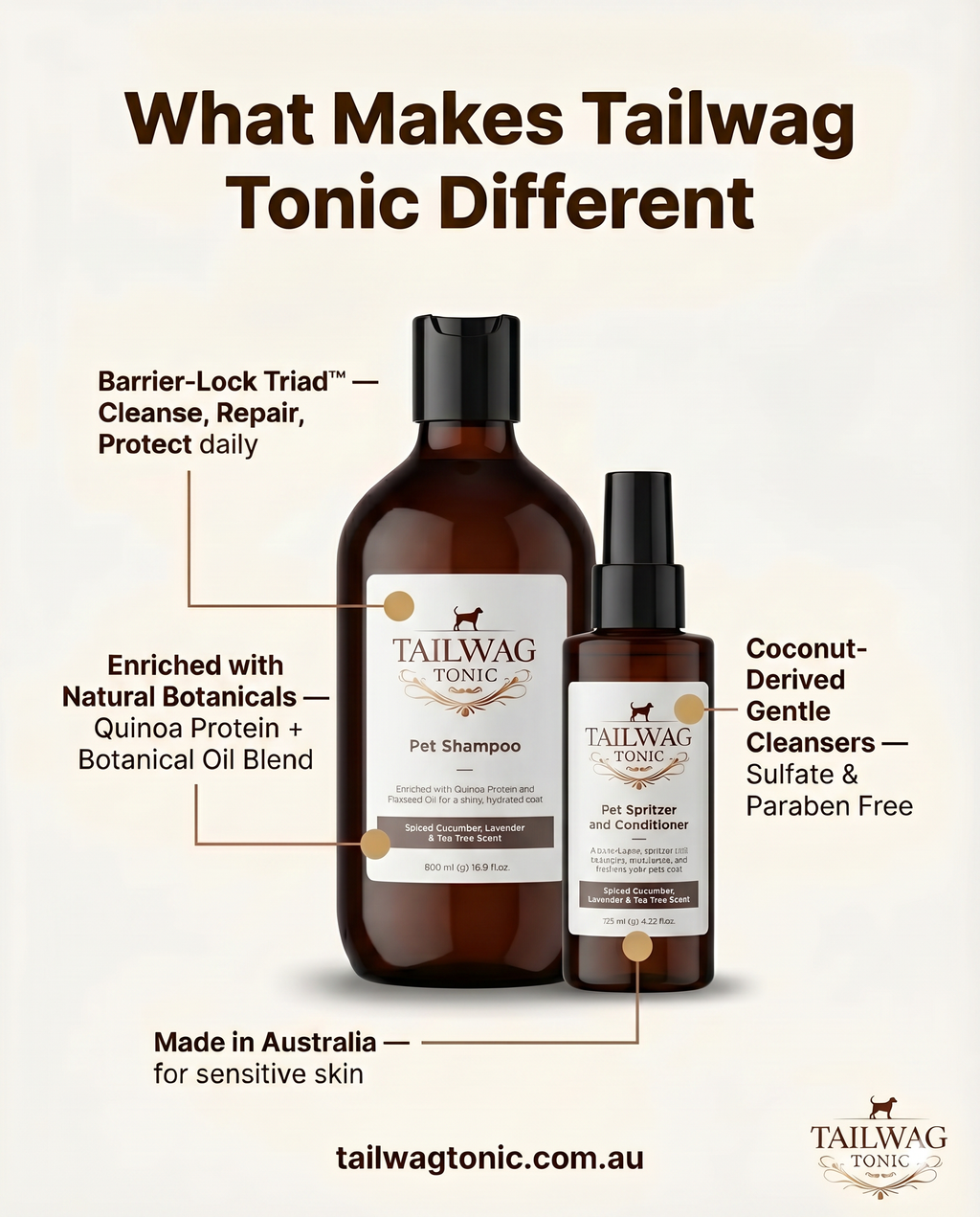 The Complete Skin System Your Dog Actually Needs