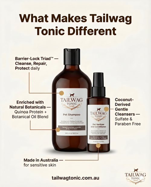 The Complete Skin System Your Dog Actually Needs